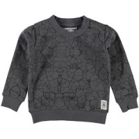 Small Rags sweater (va.68)