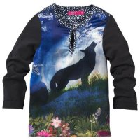 Cakewalk shirtje (va.80)