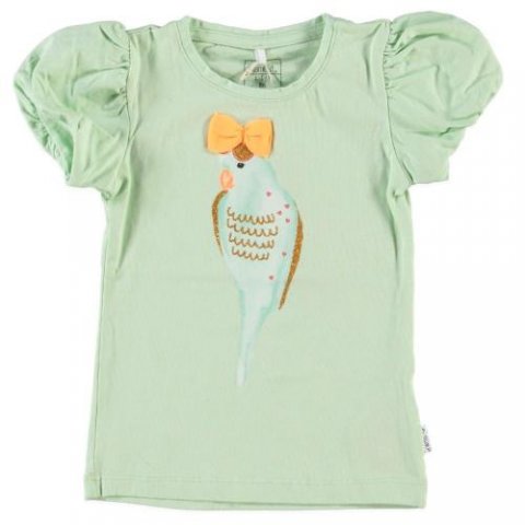 Name It shirt (va.74)