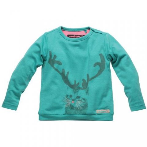 Moodstreet shirtje (va.68)