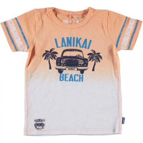 Name shirtje (va.74)