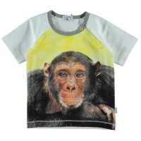 Claesen's shirtje (va.56/62)
